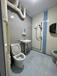 Blk 245 Hougang Heights (Hougang), HDB 5 Rooms #589774751
